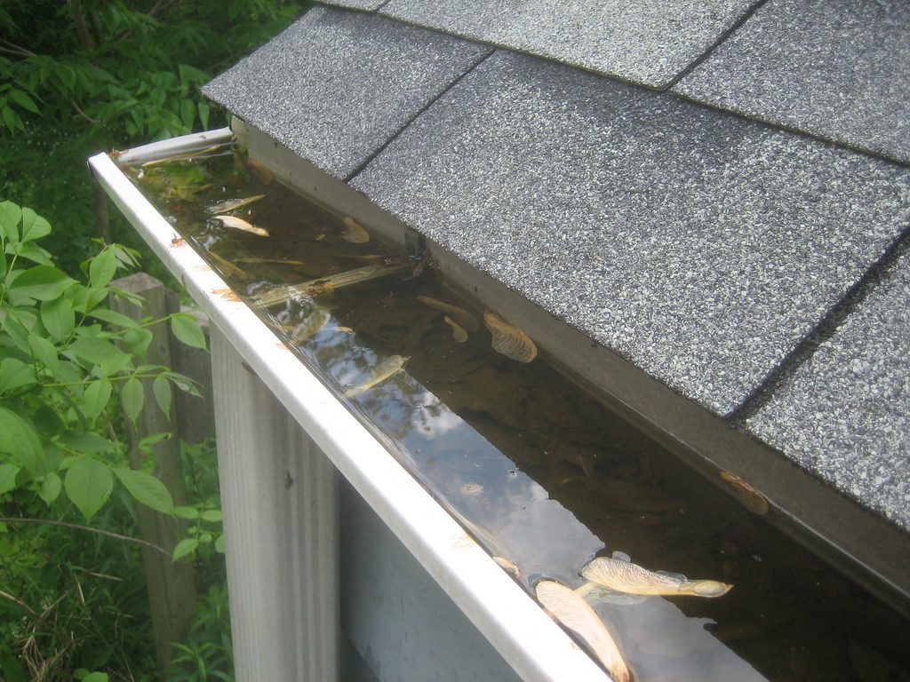 Gutters Unlimited Siding Ogden UT rain Gutter Cleaning