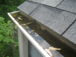 Why Are Gutters So Important?