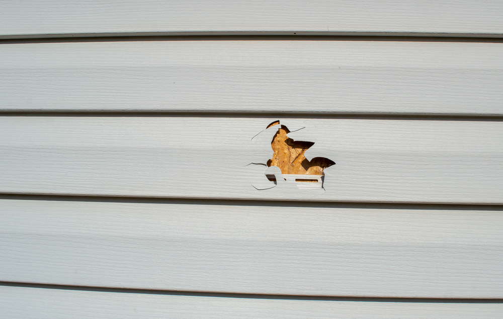 What Types Of Siding Damage Can You Fix Yourself And When Should You Call The Professionals? siding damage siding needs replacement