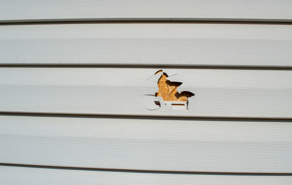 Siding needs repair in Ogden, Utah